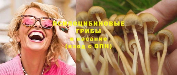 apvp Лабытнанги
