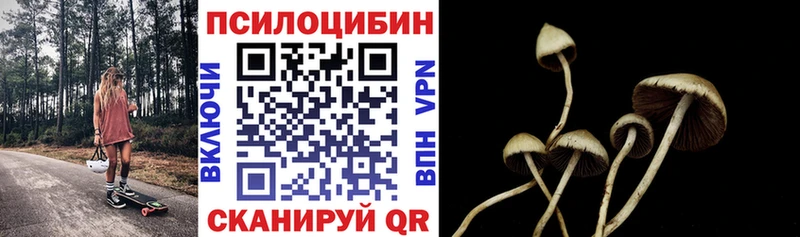Псилоцибиновые грибы прущие грибы  гидра рабочий сайт  Малоархангельск 